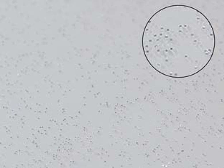 Tovagliato PVC Glitterato Argento 140 Cmh, Rotolo da 30 m 30 m - 2