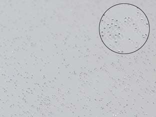 Tovagliato PVC Glitterato Argento 140 Cmh, Rotolo da 30 m 30 m - 2