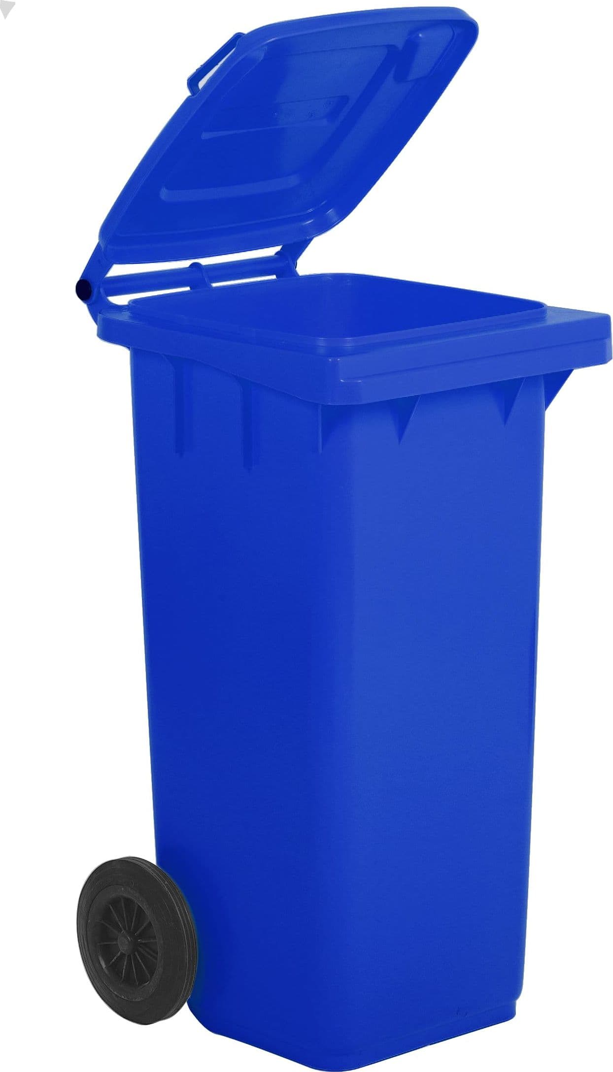 Bidone per la Raccolta Differenziata 120 l Colore Blu – Autres