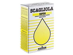 Gesso Scagliola in Scatola 1 kg in Scatola 12 Scatola - 2