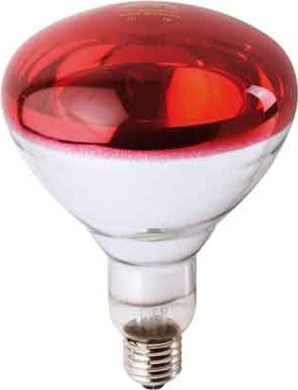 Lampada Infrarossi per Riflettore Philips 150 W Col Rosso - 2