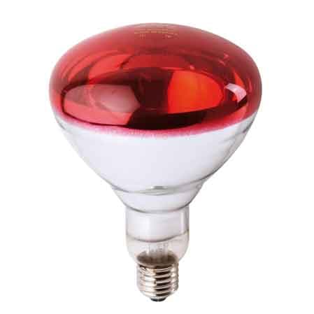 Lampada Infrarossi per Riflettore Philips 150 W Col Rosso - 2