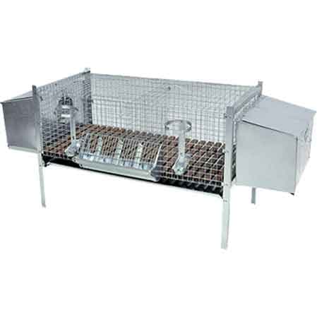 Gabbia per Conigli Due Fattrici Cm 100 x 50 x 70H - 2