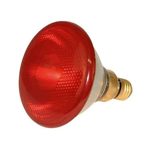 Lampada Infrarossi per Riflettore 150 W Col Rosso - 2