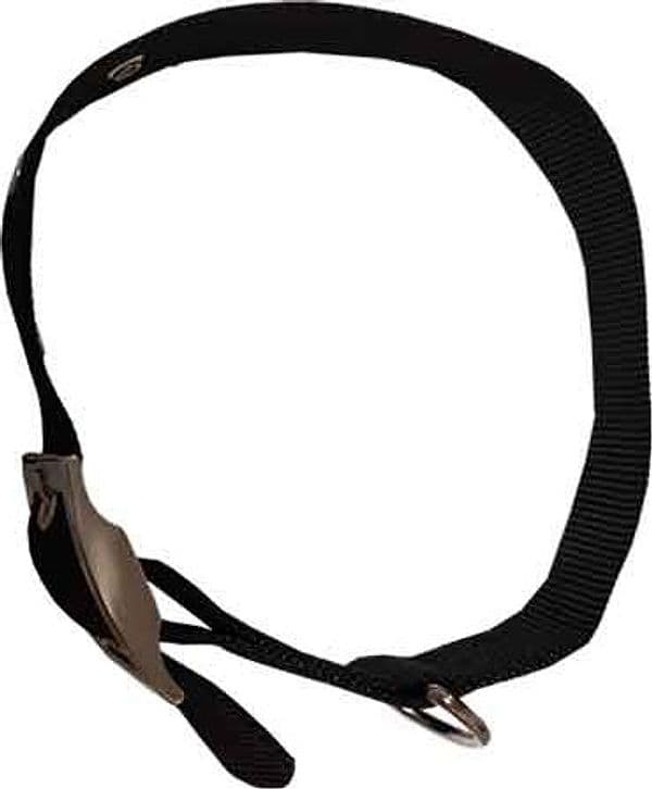 Collare per Cani in Nylon Imbottito Ideal Star 15 mm x 40 cm - 2