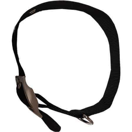 Collare per Cani in Nylon Imbottito Ideal Star 15 mm x 40 cm - 2