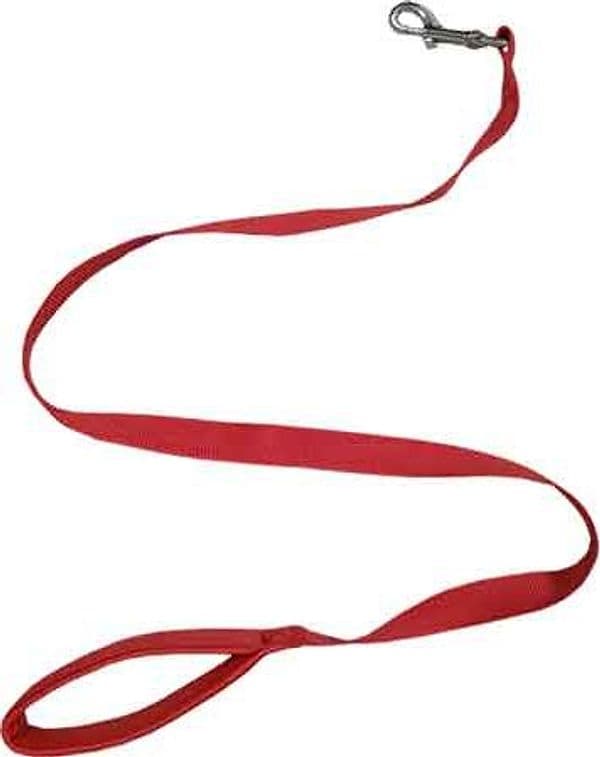 Guinzaglio per Cani in Nylon con Manico Imbottito Ideal Star 25 mm x 120 cm - 2