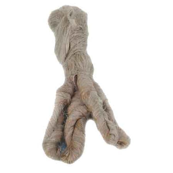 Canapa Pettinata – Autres