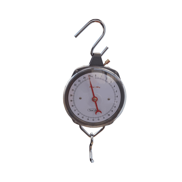 Bilancia a Strappo Ideal Star 25 kg 100 G - 2