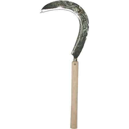 Falciola per Bietole 50 cm Made in Italy - 2
