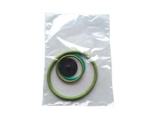 Set Ricambi per Pompa Ares Viton Daldegan - 2