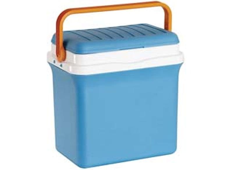 Frigorifero Termico Fiesta 25 l 37,8 CMX25,5X38 Giostyle - 2