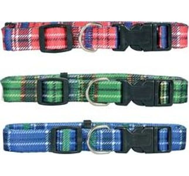 Collare per Cani in Nylon 33 cm 40X1,5 Il Campo 5 Pezzi - 2