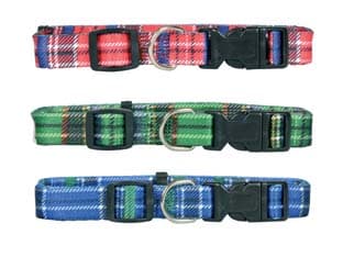 Collare per Cani in Nylon 40 cm 55X2 Il Campo 5 Pezzi - 2