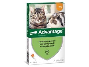 Antiparassitario Advantage per Gatti e Conigli Fino a 4 kg in Conf. da 4 - 2