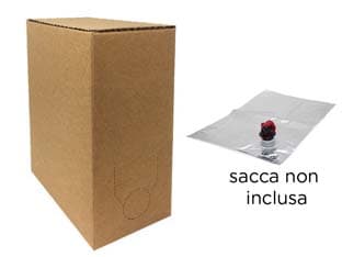 Bag in Box Cartone Avana per Sacca 5 l Ns. COD.476041 Maffei 10 Pezzi - 2