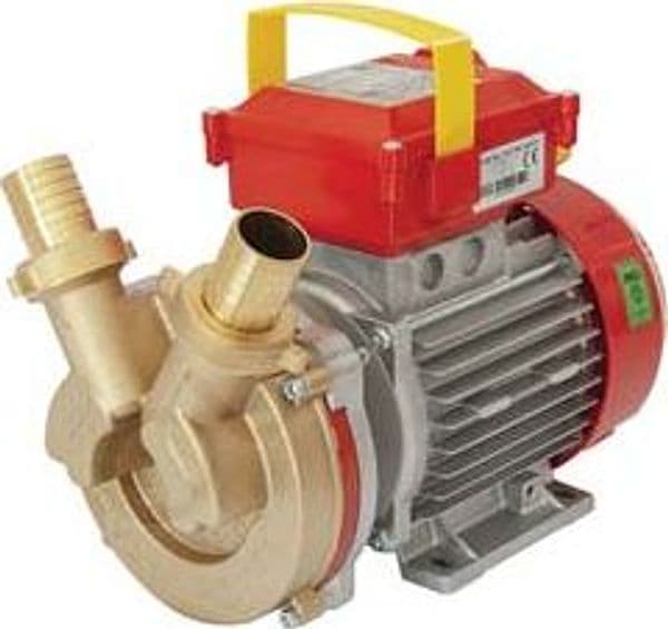 Elettropompa in Bronzo Bisenso da Travaso Rover 30 CE Rover