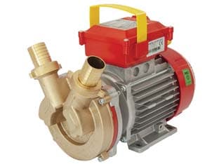 Elettropompa in Bronzo Bisenso da Travaso Rover 30 CE Rover - 2