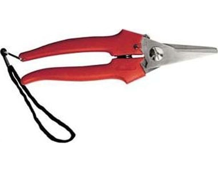 Forbice Raccolta Lama Lunga 19 cm 31327 Ausonia 12 Pezzi - 2
