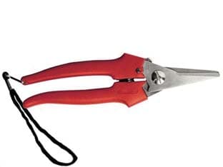 Forbice Raccolta Lama Lunga 19 cm 31327 Ausonia 12 Pezzi - 2