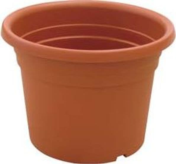 Vaso Cilindro Dahlia Ø 30 mm CMX21H. Ics 12 Pezzi
