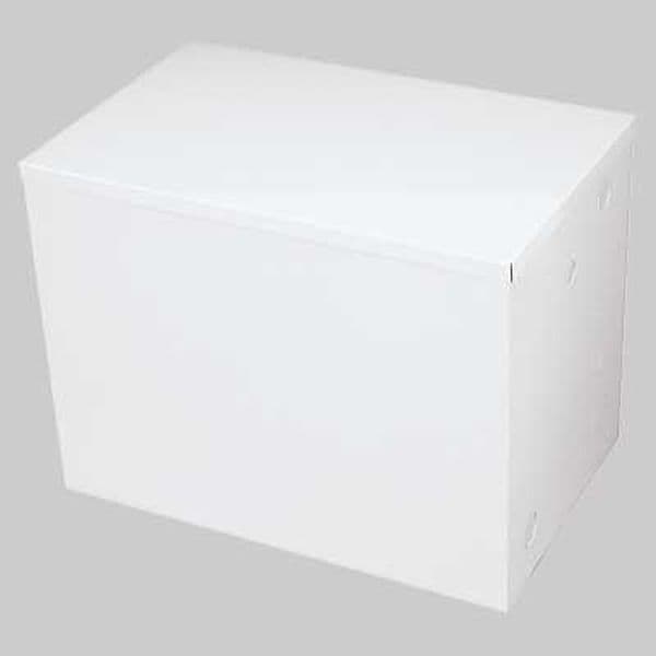 Vaso di Espansione Preverniciato Lt 50 Made in Italy - 2