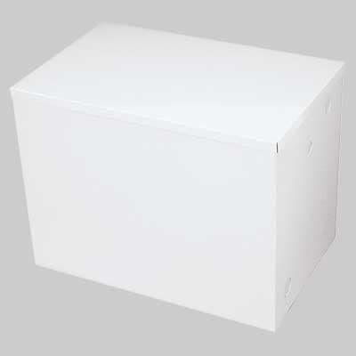 Vaso di Espansione Preverniciato Lt 50 Made in Italy - 2