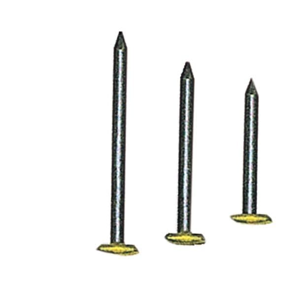 Chiodi per Quadri Testa Ricop Ott 2 x 20 mm da 10 Confezione 100 Pezzi - 2