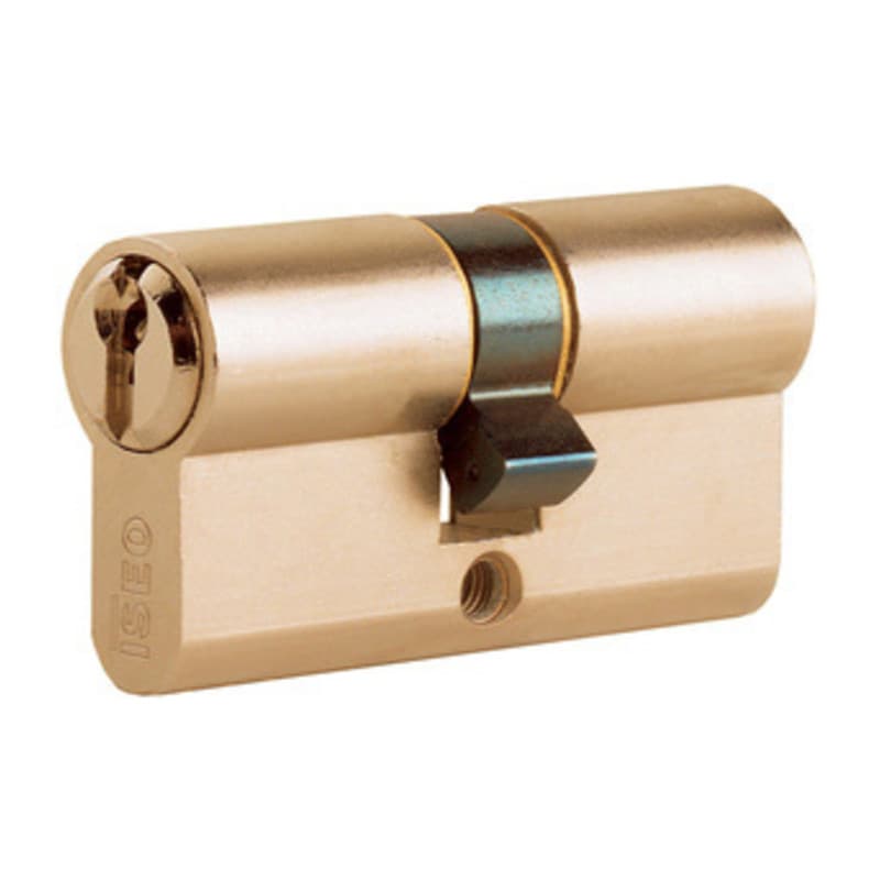 Cilindro Sag. Ottone 100 mm 45.10.45 50 50 Iseo F5 8209 Iseo Serrature - 2