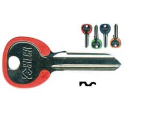 Chiavi per Cilindri Cisa 5 Spine Grandi CS206DZ Dx Silky 4 Colori 100 Pezzi - 2