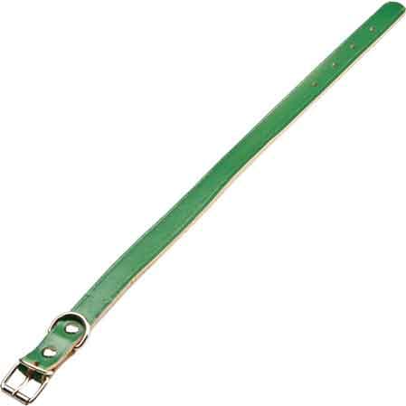 Collare per Cani Sfoderato 25 x 510 mm - 2