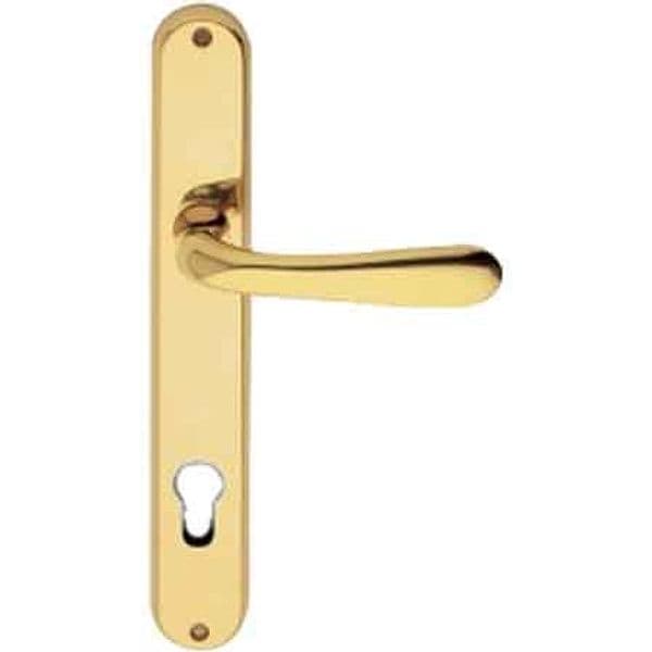 Maniglia Goccia con Placca Foro Yale Oro Lucido - 2