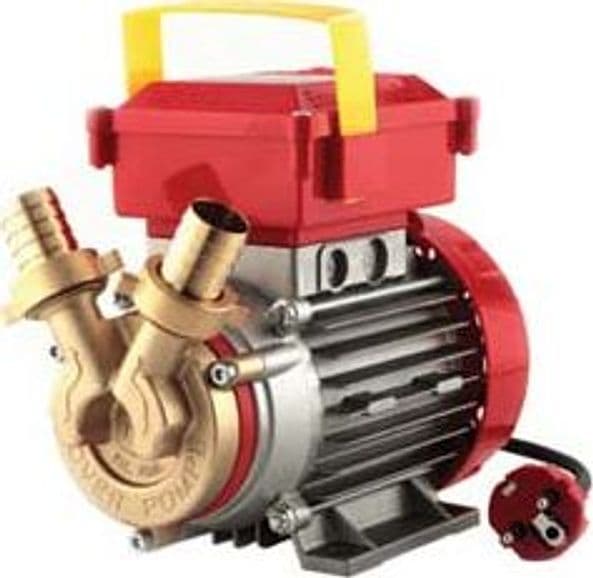 Elettropompa in Bronzo Bisenso da Travaso Rover 25 CE Rover - 2