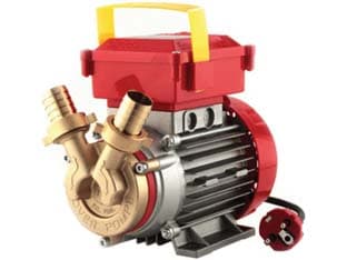Elettropompa in Bronzo Bisenso da Travaso Rover 25 CE Rover - 2