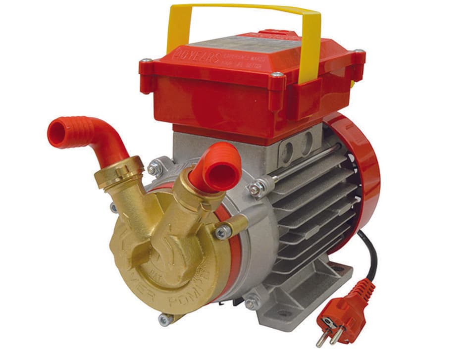 Elettropompa in Bronzo Bisenso da Travaso Rover 20 CE Rover - 2