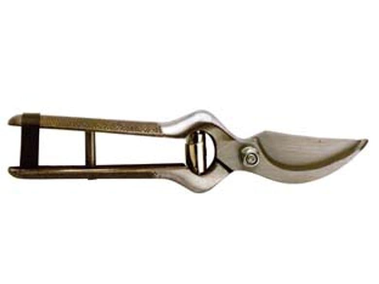 Forbice Pota Lame in Acciaio Chiusura Cuoio 21 cm Molla Bovolo 6 Pezzi - 2