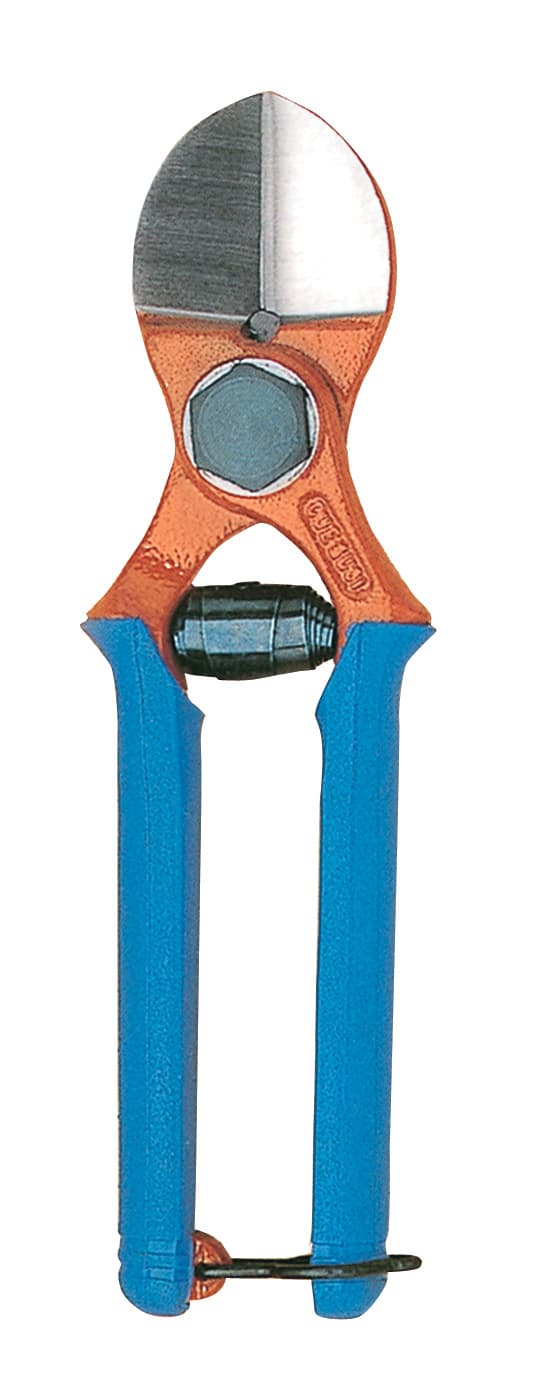 Forbici Frutteto Due Buoi 133 20 cm - 2