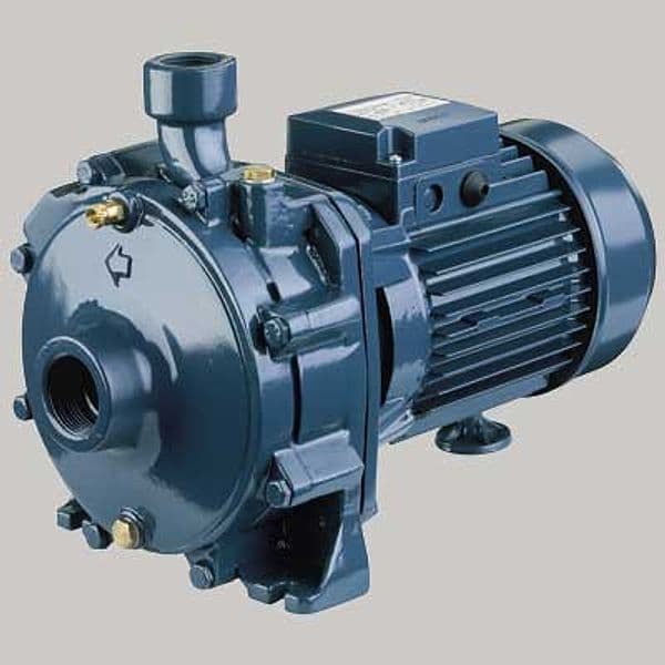 Elettropompa Centrifuga Bigirante in Ghisa Cda a 0,75 m Ebara - 2