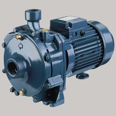 Elettropompa Centrifuga Bigirante in Ghisa Cda 1,00 m Ebara - 2