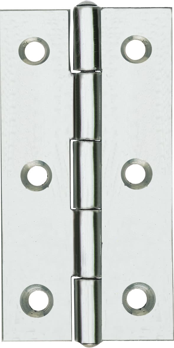 Cerniera Perno Fisso 120 in INOX 2 31 x 50 mm Aldeghi Luigi Spa 12 Pezzi - 2