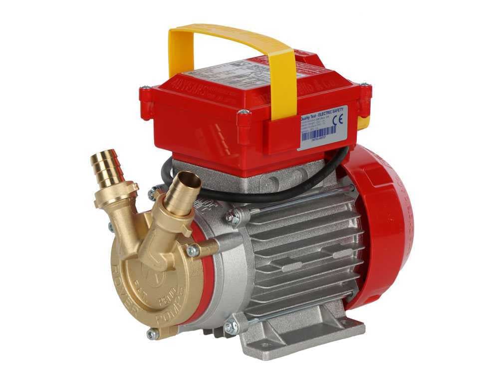 Elettropompa Travaso Liquidi Pompa Bronzo Ø Rover Pompe 2850 R.p.m 1700 l H - 2