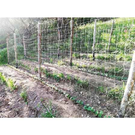Rete Rampicante Ideal Star 1,5 x 1000 m Colore Bianco - 2