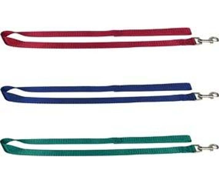 Guinzaglio per Cani in Nylon 100 CMX2,5 Il Campo 5 Pezzi - 2