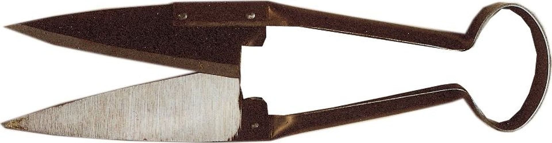 Forbici Tosa Pecore Acciaio 160 da 29 cm - 2