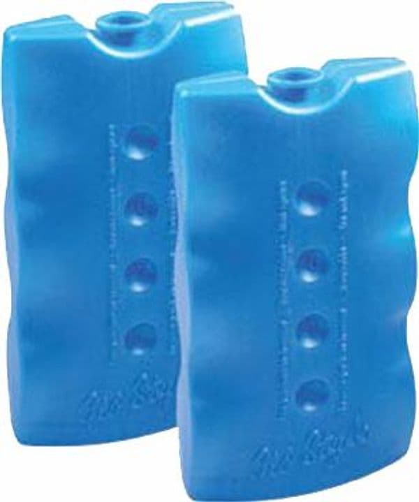 Ghiaccio Sintetico Mattonelle GR.400 PZ.2 10 Confezione - 2