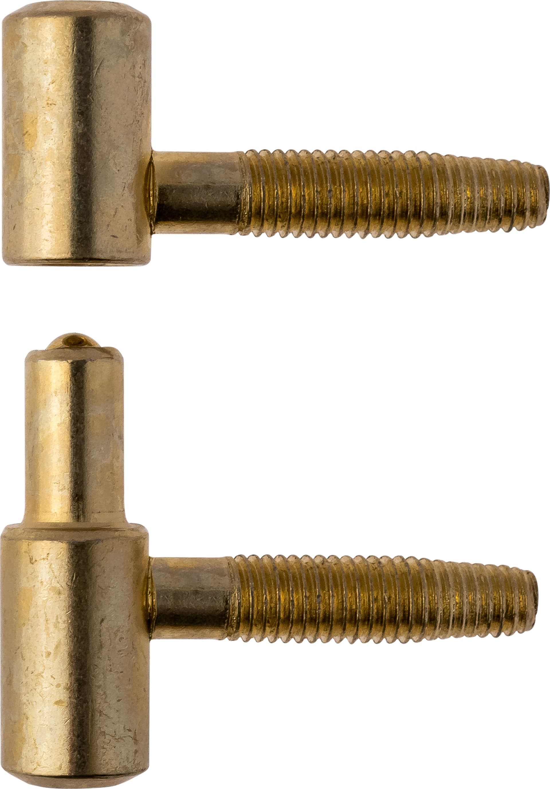 Cerniera Anuba Acciaio Ottonato Ø 13 mm** 100 Pezzi – Idroweb