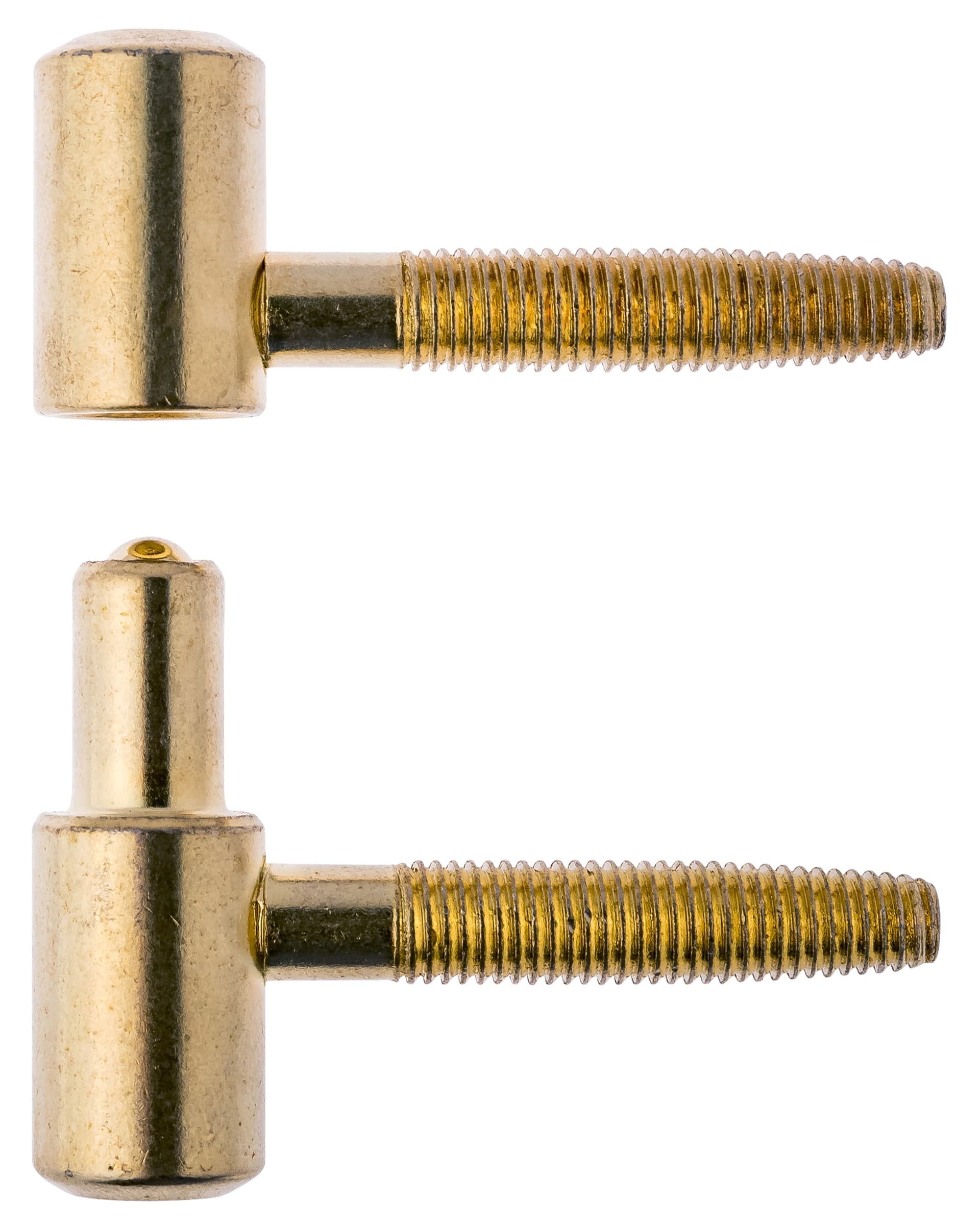 Cerniera Anuba Acciaio Ottonato Ø 16 mm* 50 Pezzi - 2