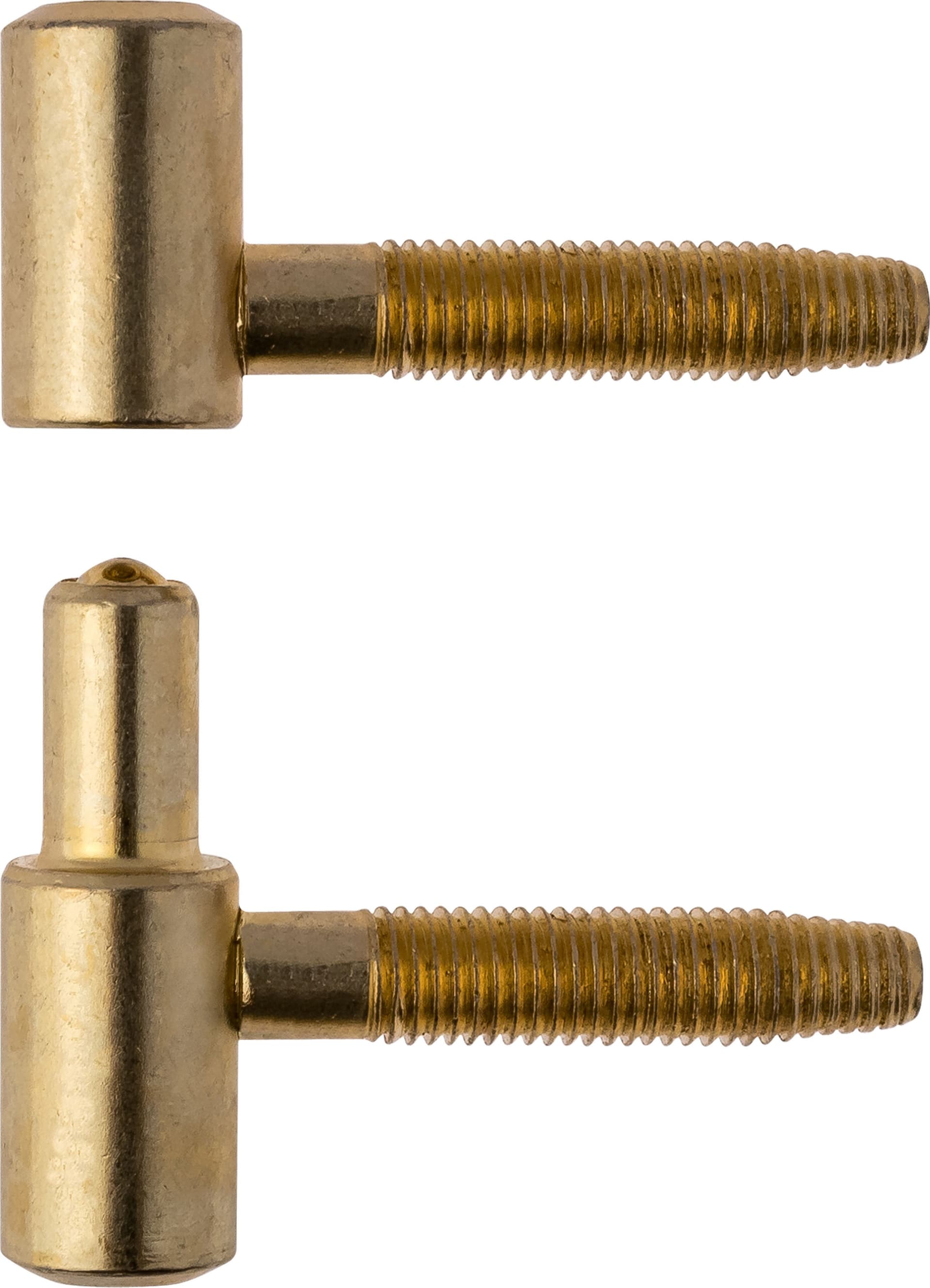 Cerniera Anuba Acciaio Ottonato Ø 14 mm** 75 Pezzi – Idroweb