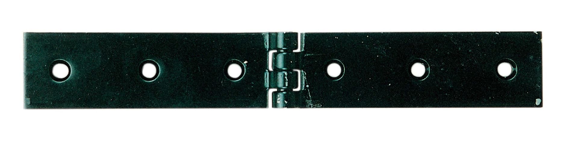 Cerniera a Libretto Acciaio per Casse 120 x 30 mm 12 Pezzi - 2