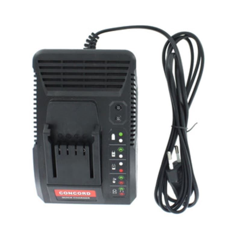 Caricabatteria Li Ion 20V Old 2014 Concord - 2